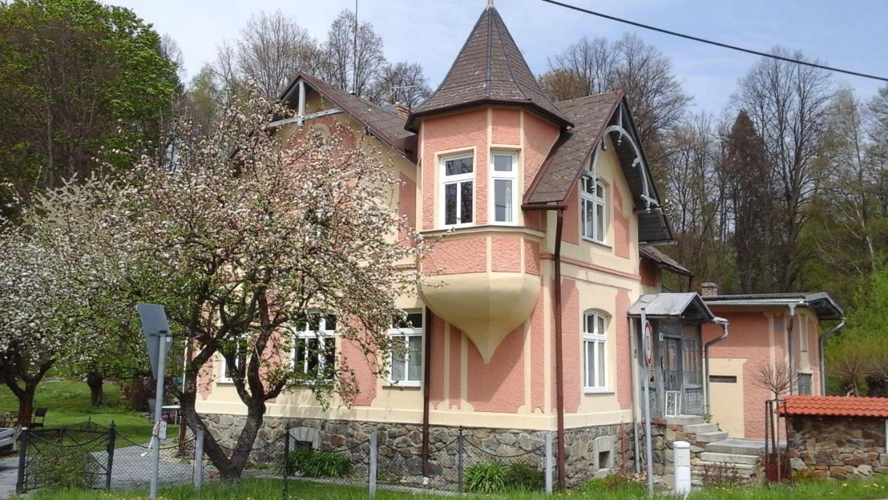 Apartmany Villa Magnolie Ліпова Лазнє Екстер'єр фото